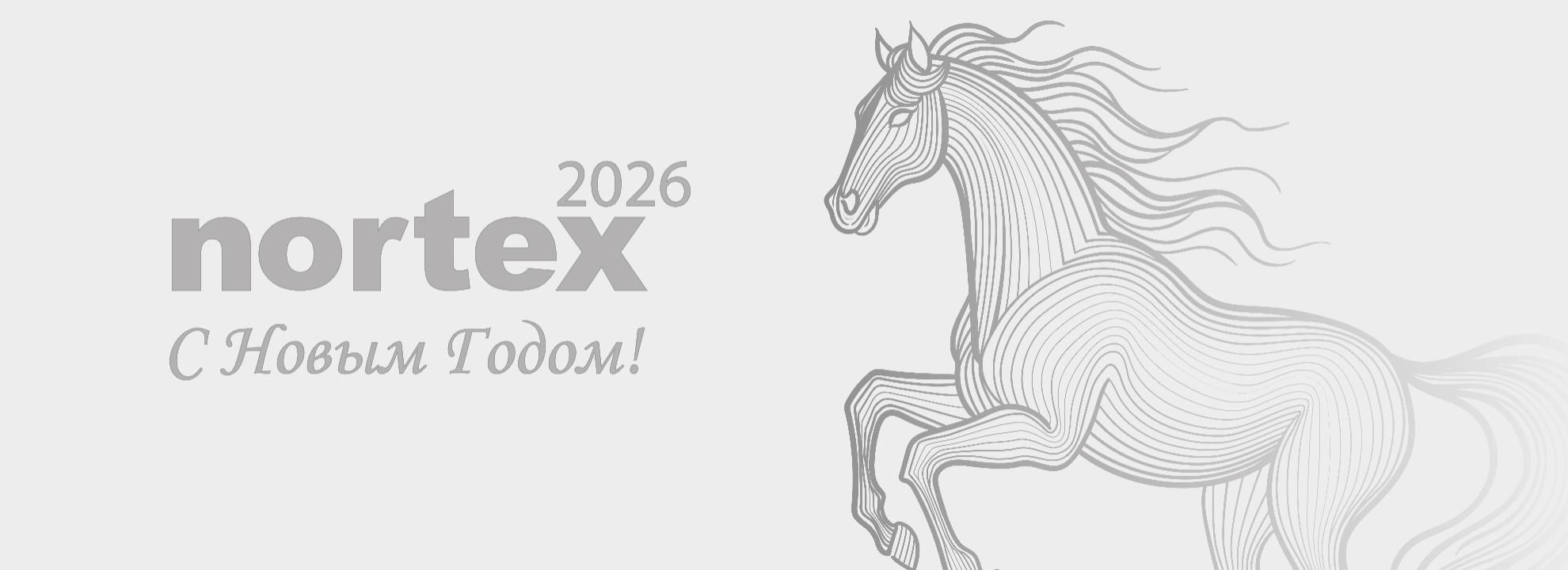 Новый год 2025