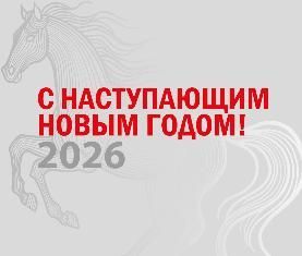 С Наступающим Новым Годом и Рождеством!