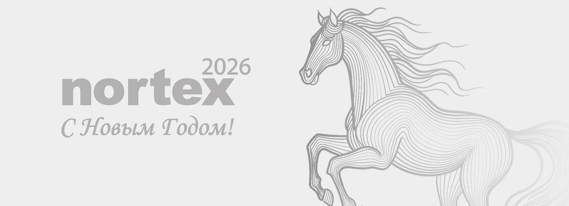 Новый год 2025