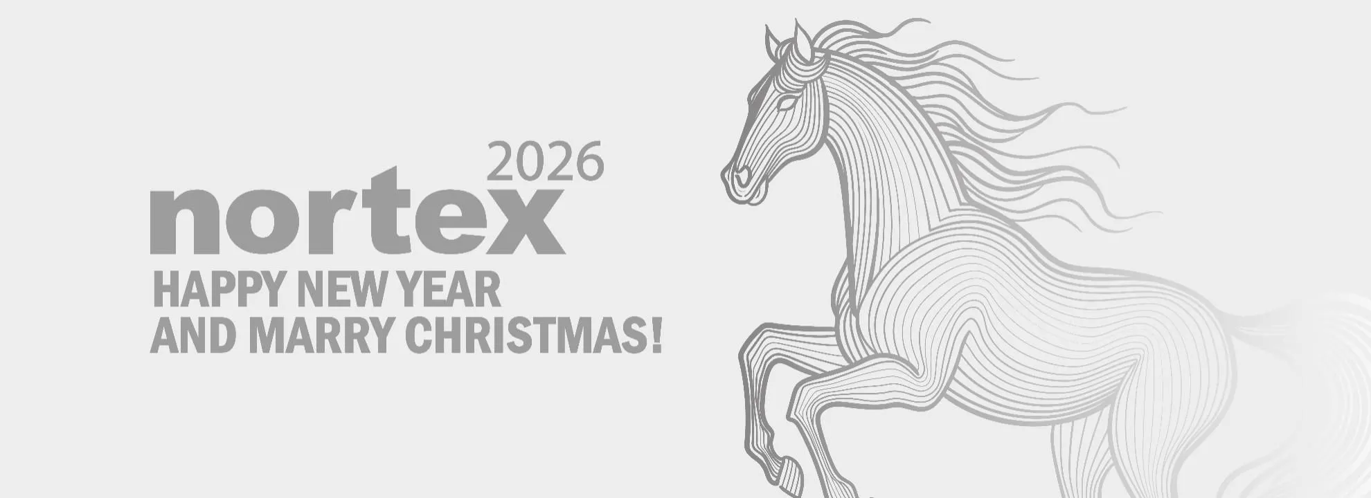 happy-new-year-and-marry-christmas-25